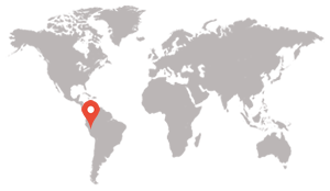 https://electrosafe.com.pe/wp-content/uploads/2021/10/mapa-300x174-1.png